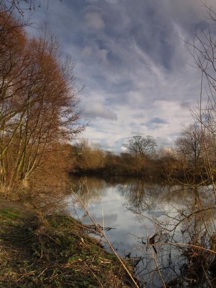 Tales Of The River Bank